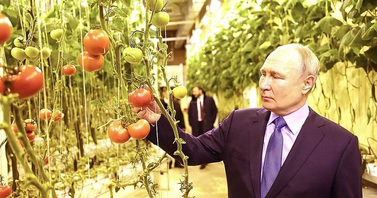 Владимир Путин посетил тепличный комплекс, произведенный компанией «АГРИСОВГАЗ» в г. Анадырь
