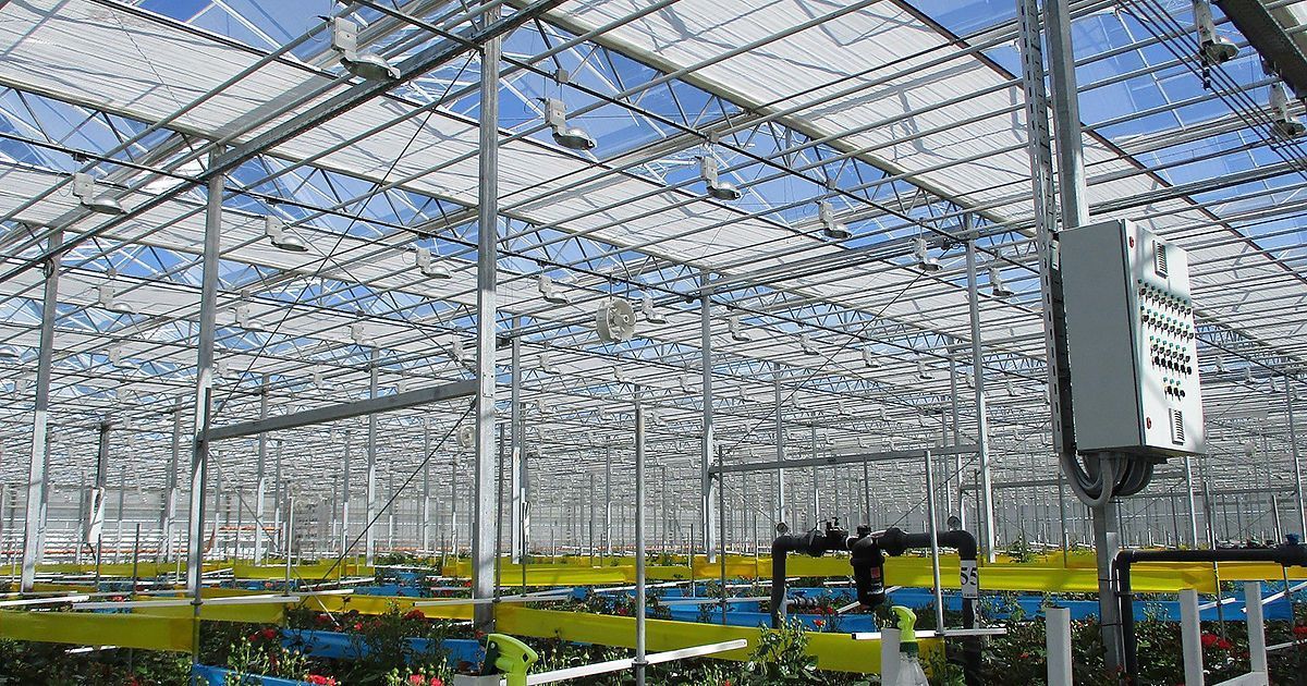 Оснащение тепличного комбината по производству цветочной продукции в Республике Удмуртия (г. Сарапул)
