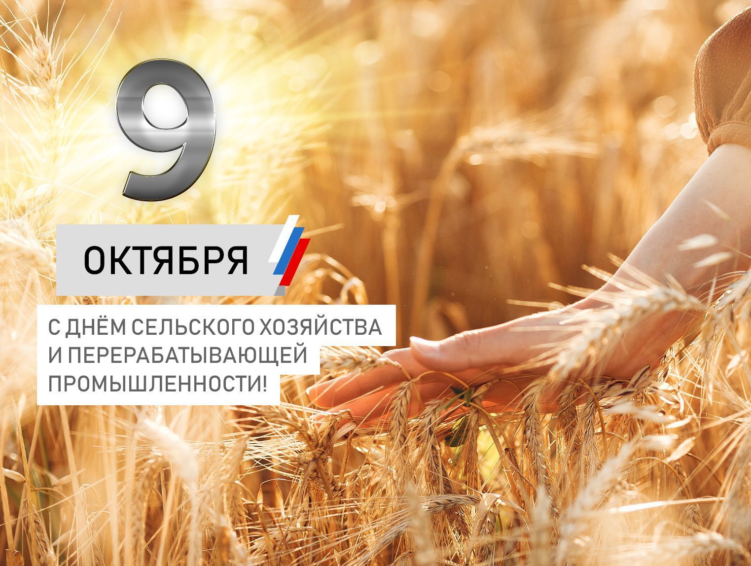 С Днем работников сельского хозяйства и перерабатывающей промышленности