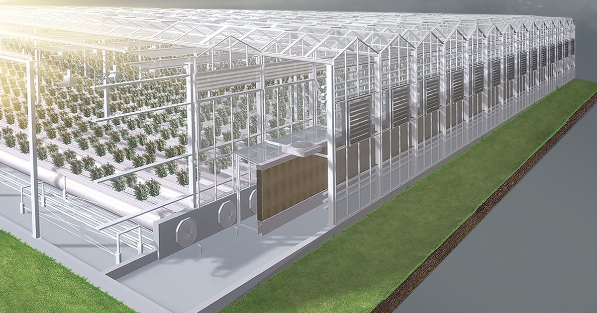 The company "AGRISOVGAZ" is the largest domestic manufacturer and integrator of all greenhouse complex systems