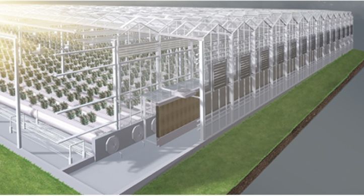 Innovative solution for the greenhouse industry