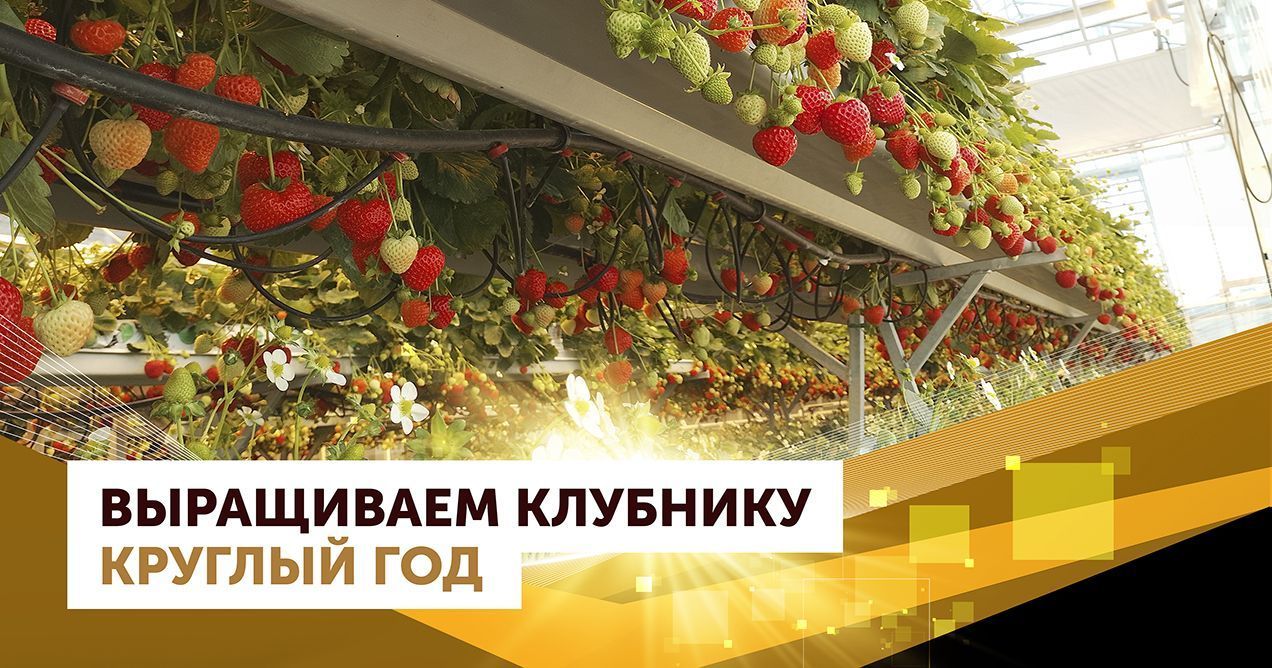 Микроклиматическая ячейка «АГРИСОВГАЗ» переводит риски сельского хозяйства в управляемые параметры