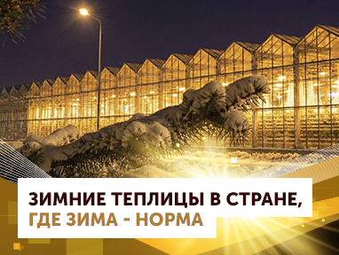 Фото новости 20