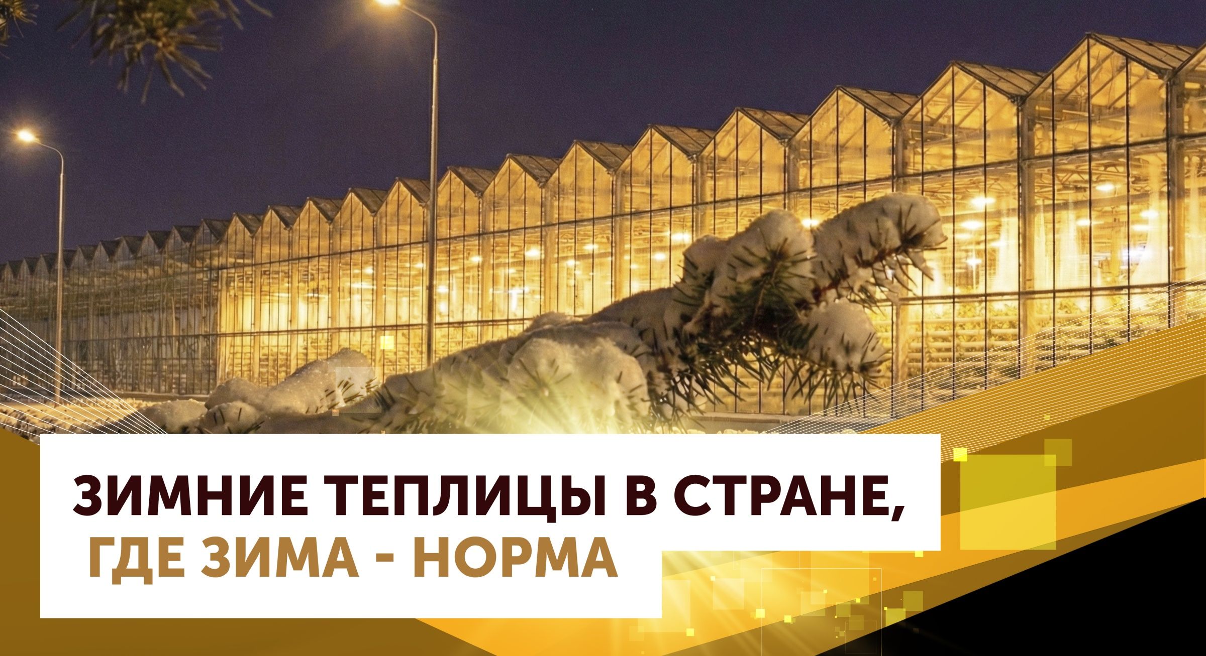 Зимние теплицы в стране, где зима - норма❄️