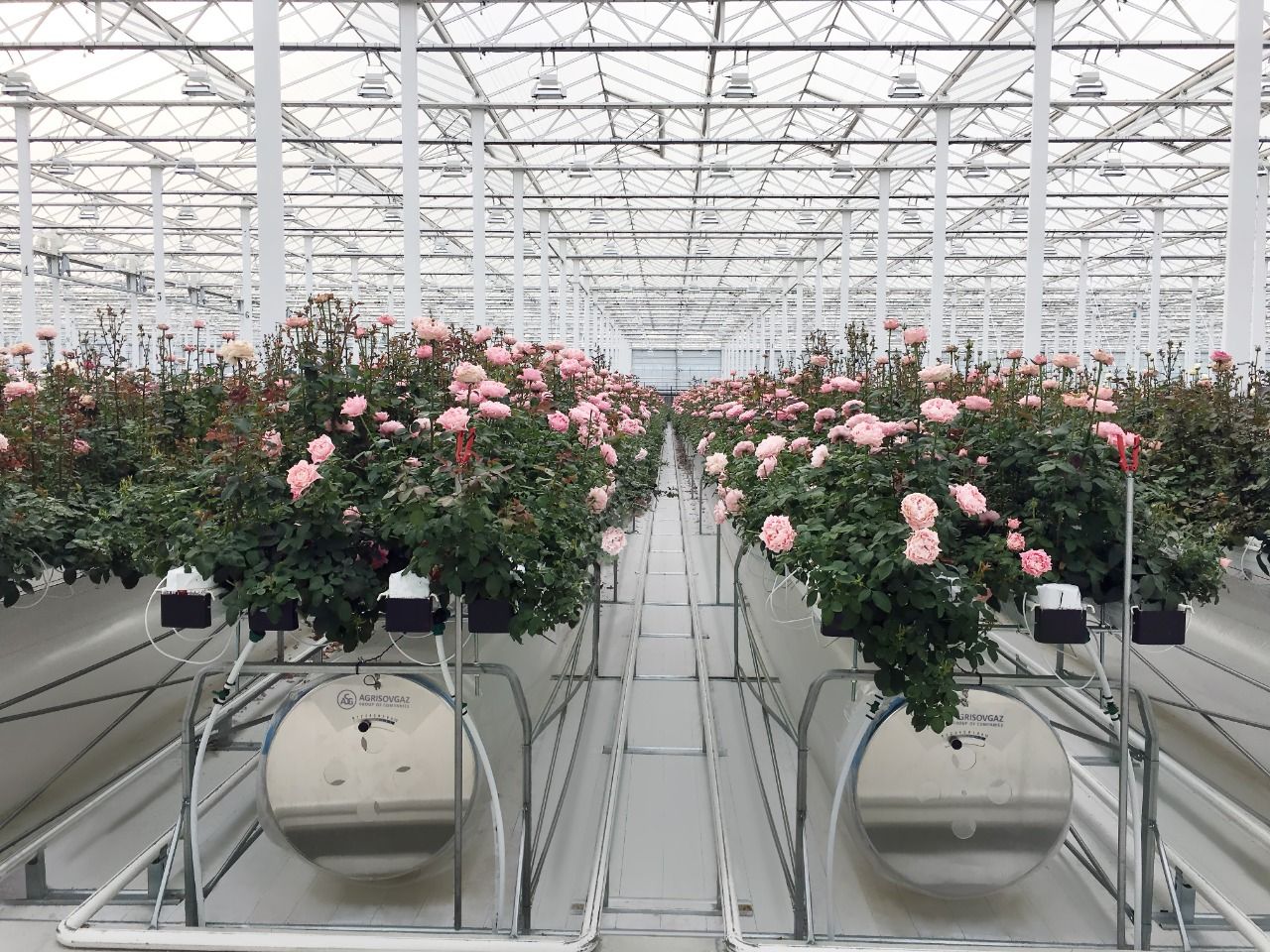 Greenhouse innovations