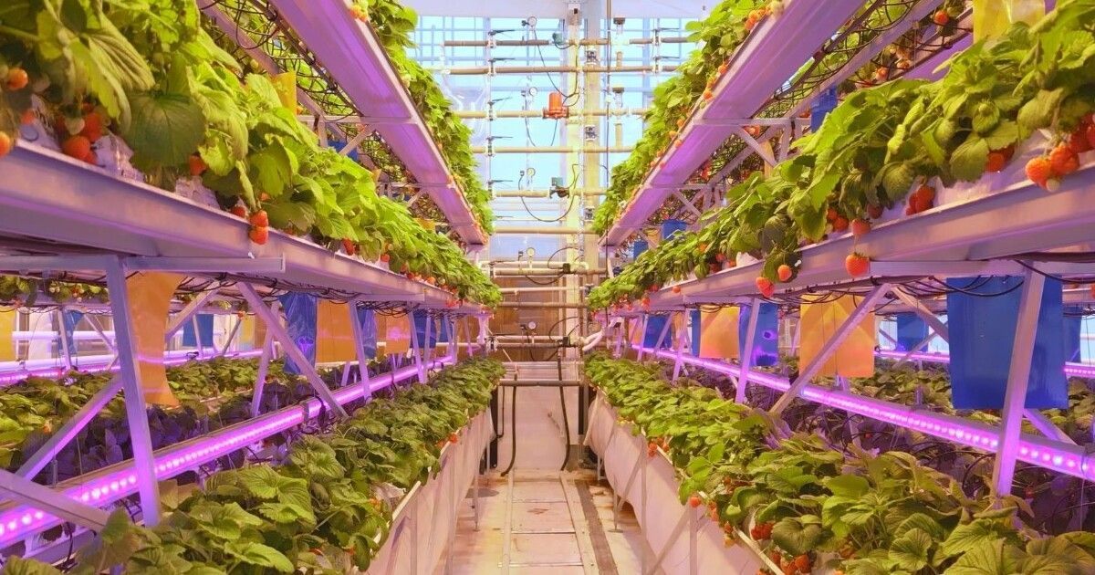 Микроклиматическая ячейка – инновационная разработка компании «АГРИСОВГАЗ»