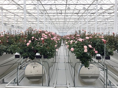 Greenhouse innovations